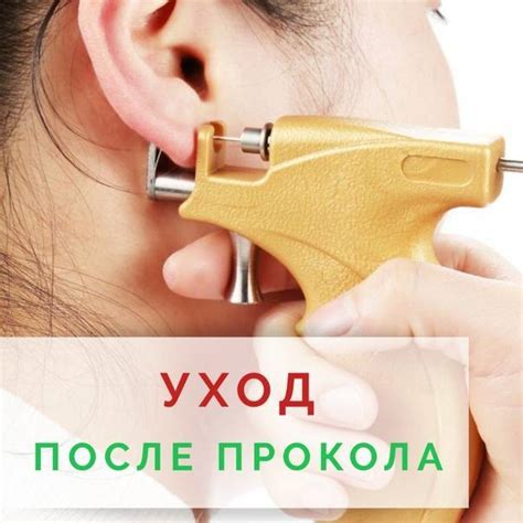 Обработка ушей перекисью после прокола