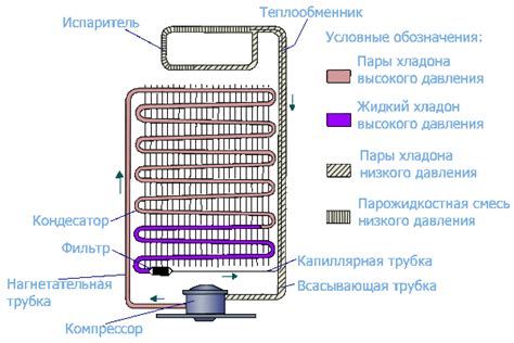 Образец забора тепла и принцип работы морозильной камеры Атлант 7201 100