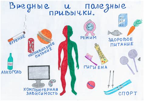 Образ жизни и привычки