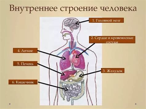 Обратитесь в соответствующие органы