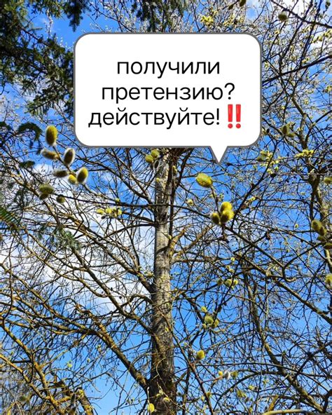 Обратитесь к другим и действуйте!