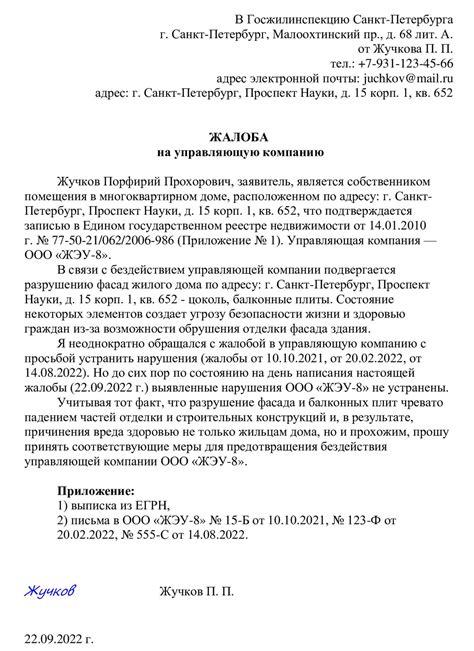 Обращение в приют или волонтерскую организацию