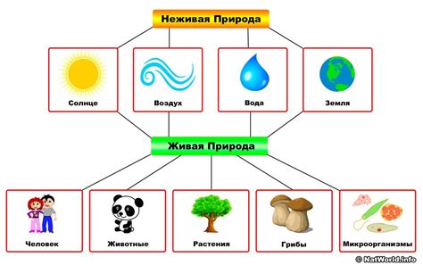 Обучение взаимодействию с элементами природы