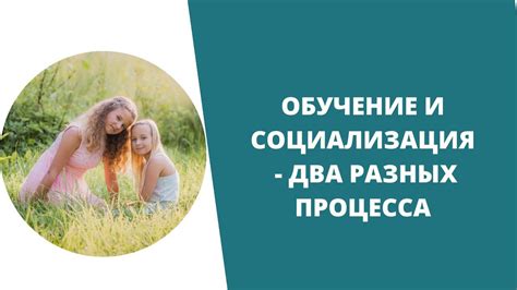 Обучение и социализация