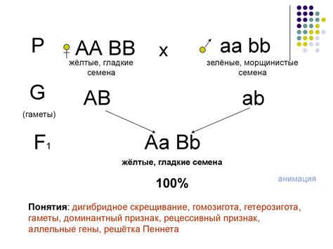 Общие и отличительные черты гомозиготы и гетерозиготы