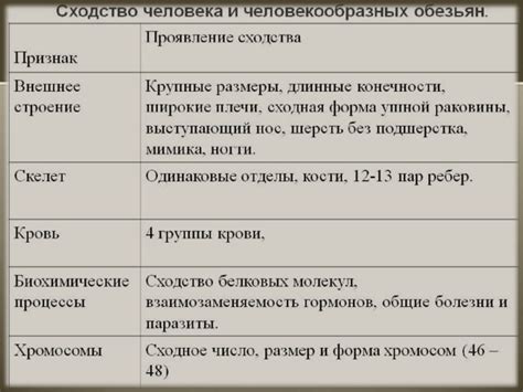 Общие черты человека и обезьян: