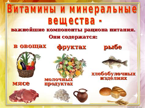Обязательные компоненты рациона