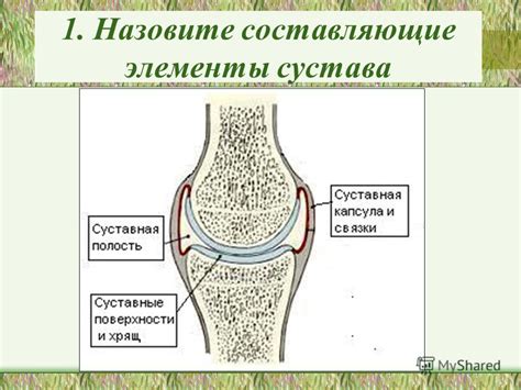 Обязательные элементы границ