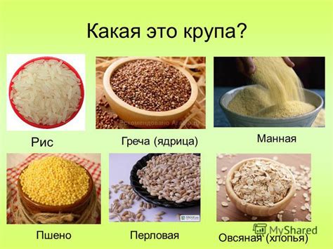 Овсянка и другие злаки в рационе