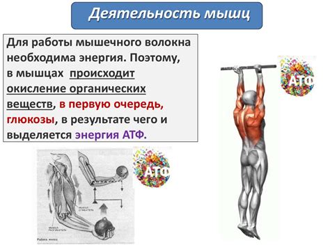 Ограничение движений и стимулирование развития мышц