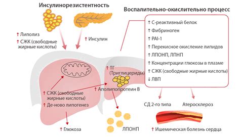 Ограничения в потреблении цитрусовых при сахарном диабете