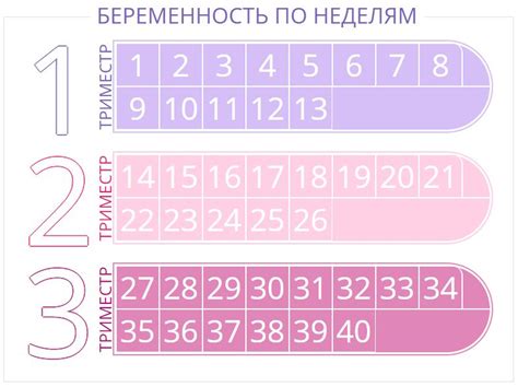 Ожидаемая дата родов