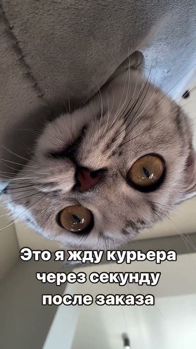 Ожидание курьера