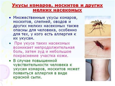 Опасности для организма: Воздействие клопов на здоровье