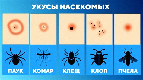 Опасности и последствия неожиданных укусов: что грозит вашему питомцу