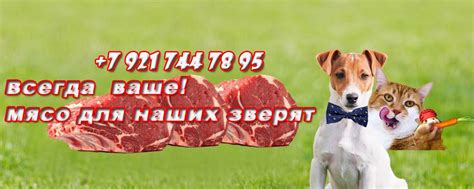 Опасности недорогого корма