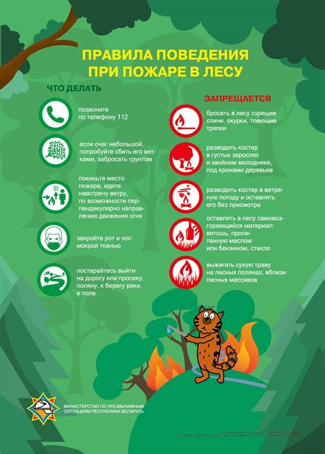 Опасные действия в лесу