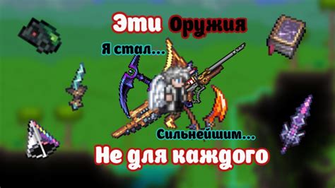 Описание защиты в террарии каламити: