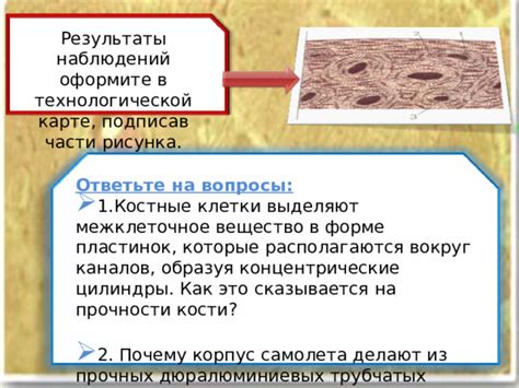 Описание механизма появления существ на прочных уровнях конструкций