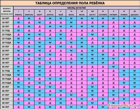 Определение возрастного диапазона и пола ребенка
