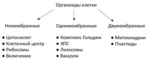 Определение и классификация акубаротравмы