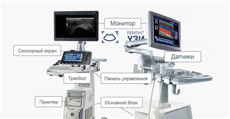 Определение и принцип работы уЗИ