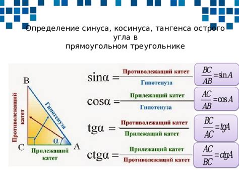 Определение косинуса