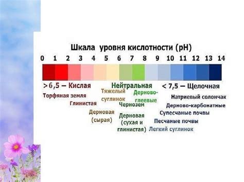 Определение нормы кислотности