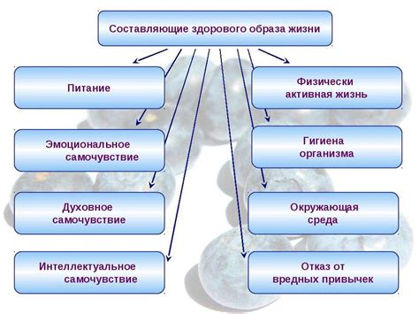 Определение понятия "раннее возрастное формирование" и его воздействие на здоровье женщин