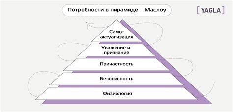 Определение предпочтений и потребностей