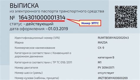 Определение совместимости автомобиля с электронным ПТС для регистрации в России