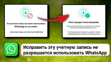 Определение спама на WhatsApp