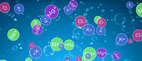 Определение электролитов и их роль для организма