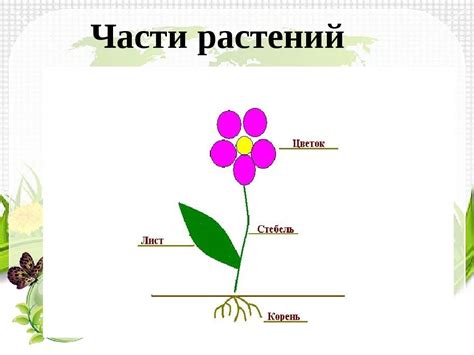 Определите причину смерти части растения