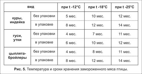 Оптимальная температура и сроки хранения