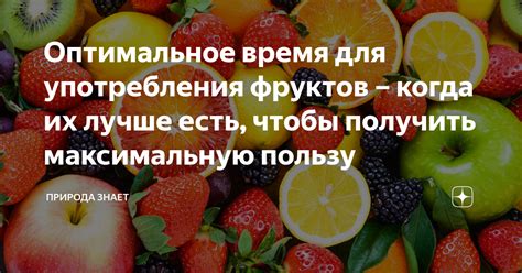 Оптимальное время для употребления зефира