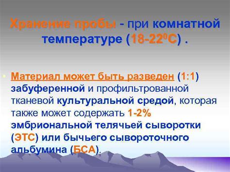 Оптимальное хранение джема при комнатной температуре