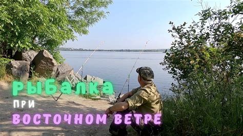 Оптимальные места для рыбной ловли при юго-восточном ветре