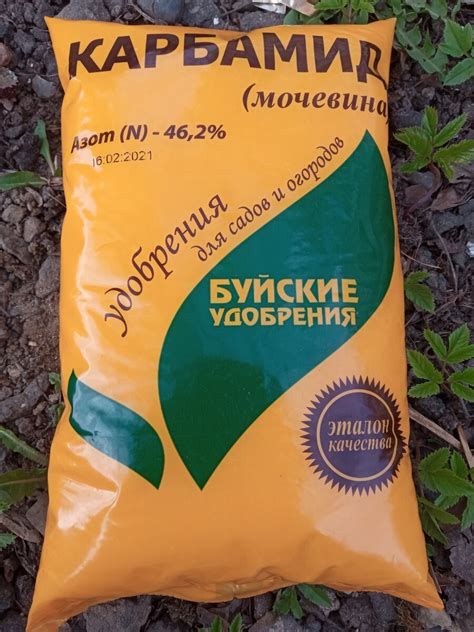Оптимальные сроки применения удобрения