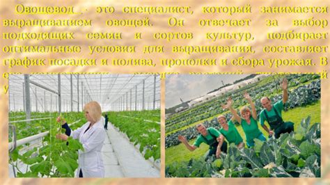 Оптимальные условия выращивания для увеличения уровня алкалоидов