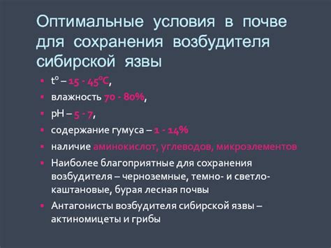 Оптимальные условия для сохранения качества сидра