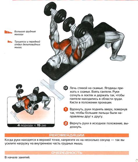 Оптимальный подход к тренировке с упражнением жима