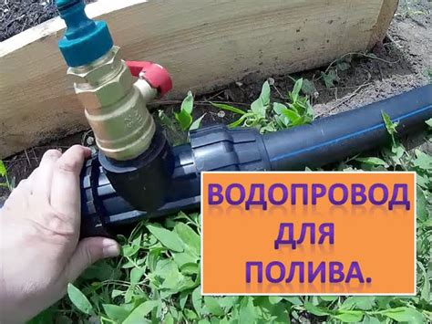 Оптимальный режим полива