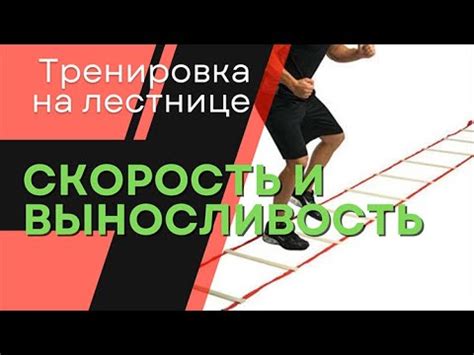 Оптимизация параметров скорости и маневренности