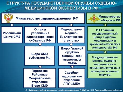 Организационная структура учреждения судебно-медицинской экспертизы