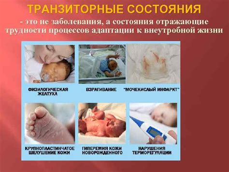Организация совместного ухода за ребенком после его появления