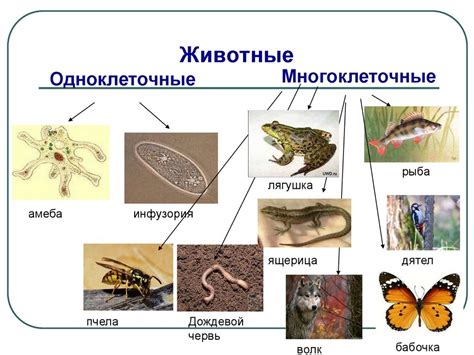 Организмы в речных пучинах