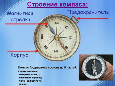 Ориентация в пространстве: использование компаса для определения сторон света