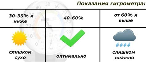 Освещение и влажность для черешни и сосны