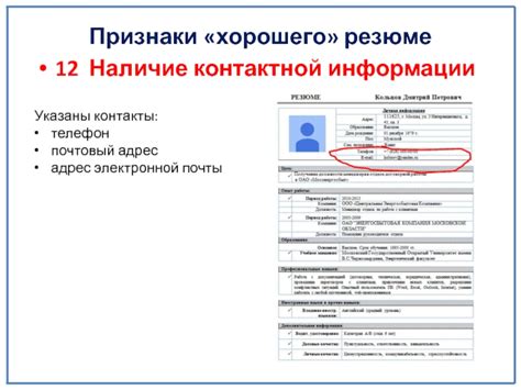 Осмотреть документы на наличие контактной информации